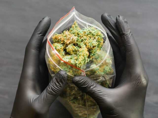 How Long Does Weed Stay In System After Quitting