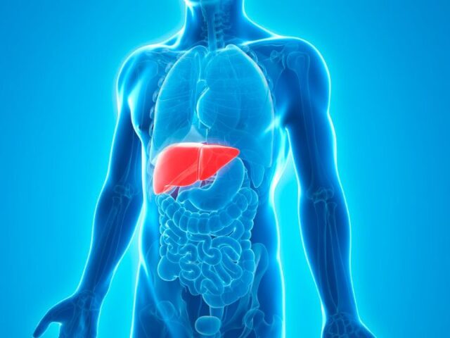 Does THC Affect Liver