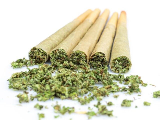 Hash vs Weed: Key Differences in Potency, Usage, and Effects